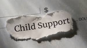 Harris County Child Support